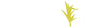Zafra Outsourcing Logo